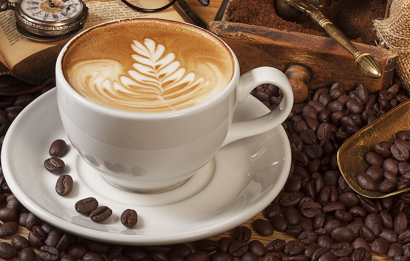 US Barista Champion Morgan Eckroth: The Sprudge Interview US Barista Champion Morgan Eckroth: The Sprudge Interview